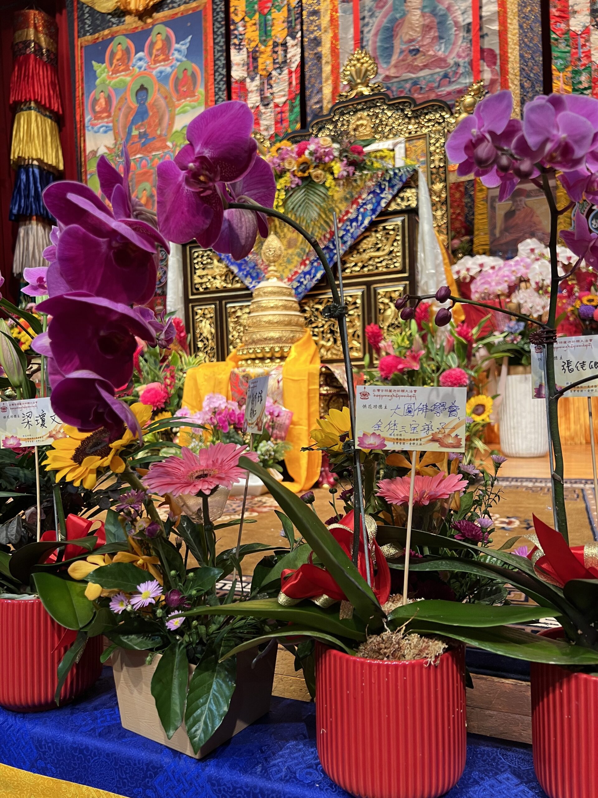 第二屆台灣薩迦世界和平祈願大法會｜首日快訊-43任法王雲端開示