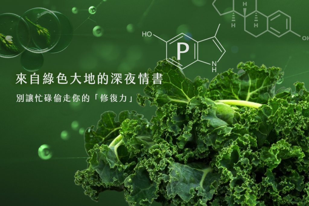 日安好適02 - 報新聞 Mega News